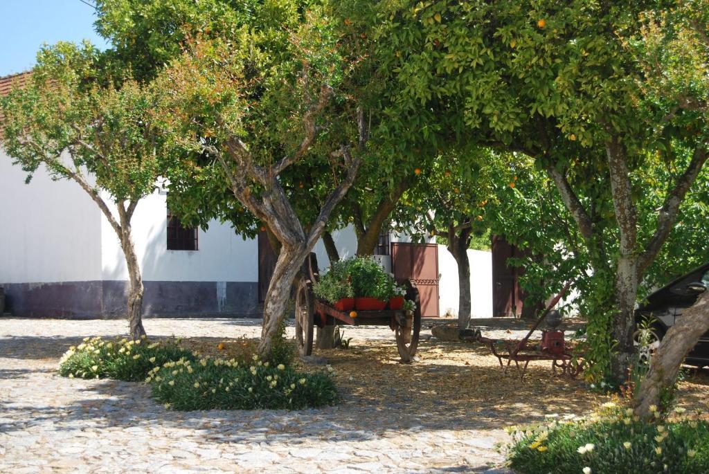 Quinta De Tourais Hotel Lamego Kültér fotó