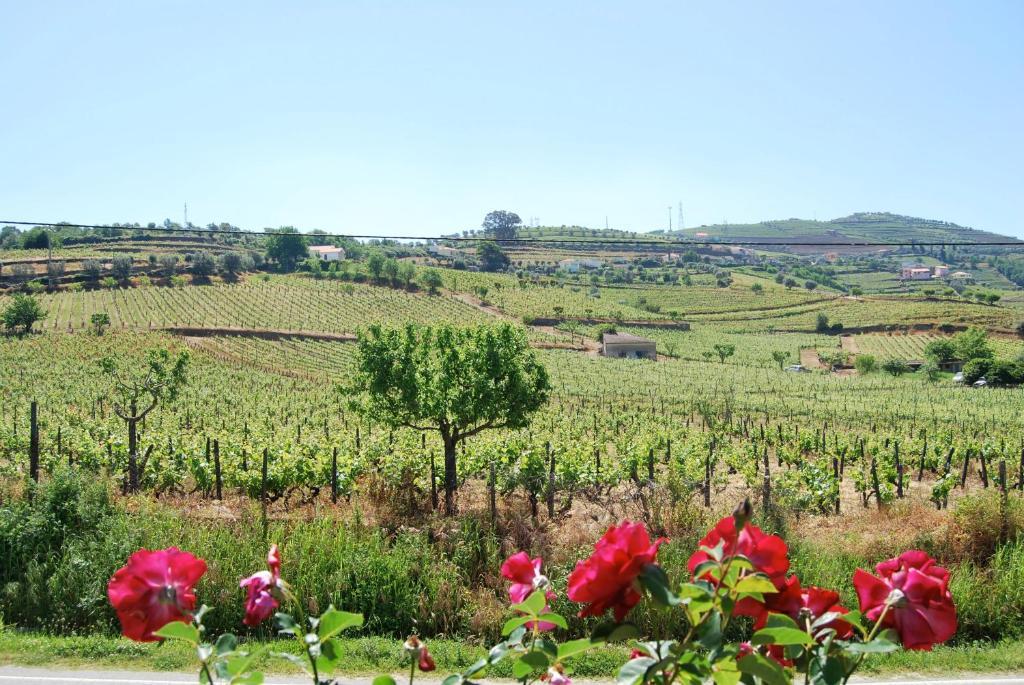Quinta De Tourais Hotel Lamego Kültér fotó
