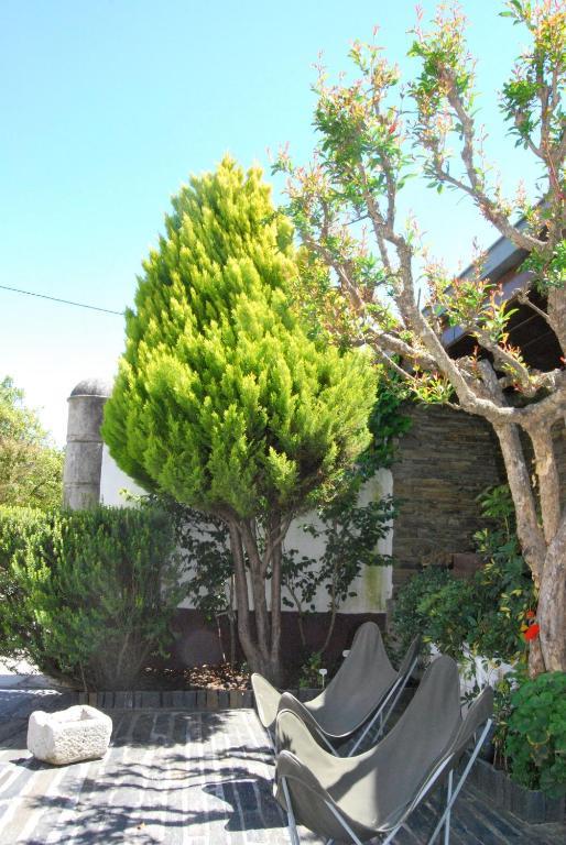 Quinta De Tourais Hotel Lamego Kültér fotó