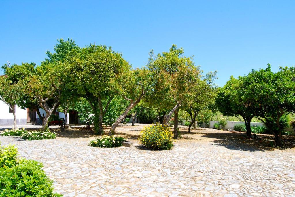 Quinta De Tourais Hotel Lamego Kültér fotó