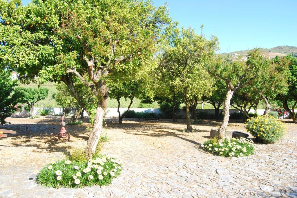 Quinta De Tourais Hotel Lamego Kültér fotó